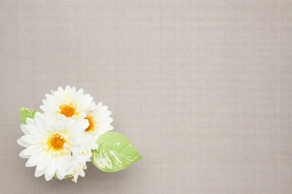 Flores artificiais brancas na toalha de mesa — Fotografia de Stock