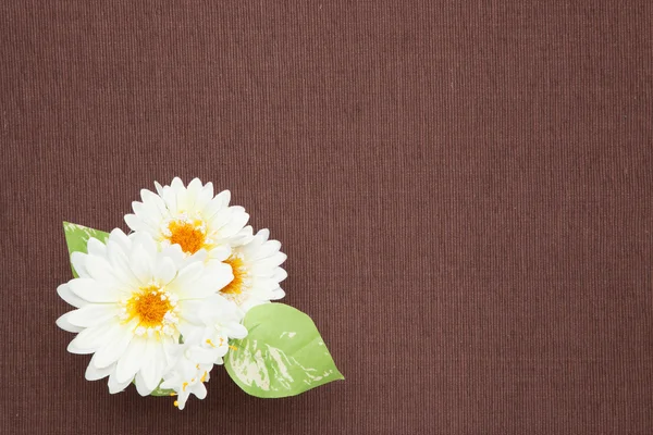 Flores artificiais brancas na toalha de mesa — Fotografia de Stock