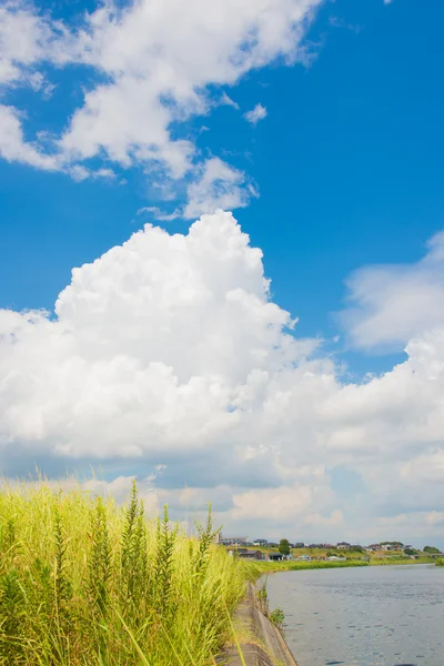 Zomer hemel en rivier — Stockfoto