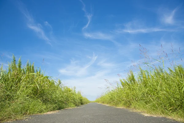 Blauwe hemel en promenade — Stockfoto