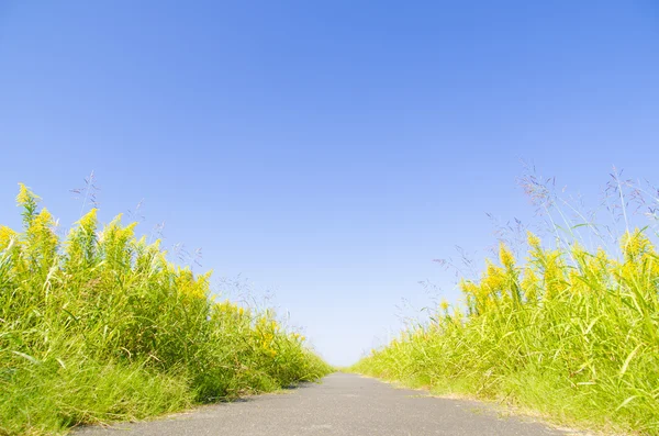 Blue sky and promenade — Stock Photo, Image