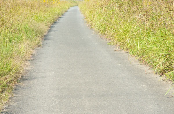 Promenade — Stock Photo, Image