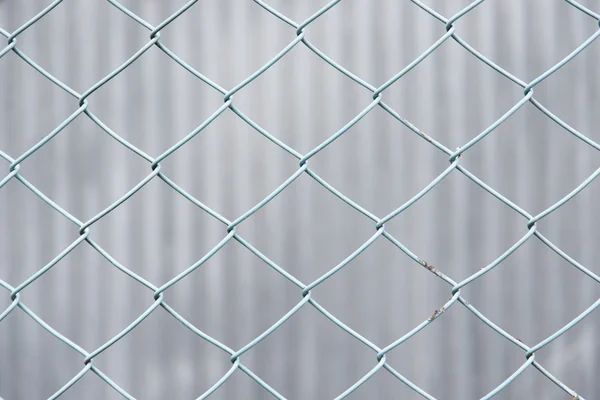 Chain-link fence of blue — Stock Photo, Image