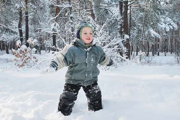 Junge im Wald — Stockfoto