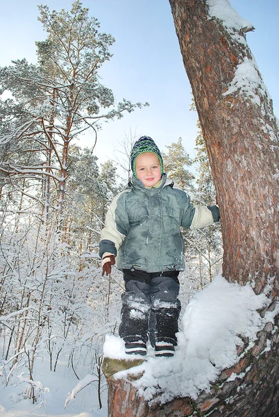 Garçon se tient sur un arbre  . — Photo