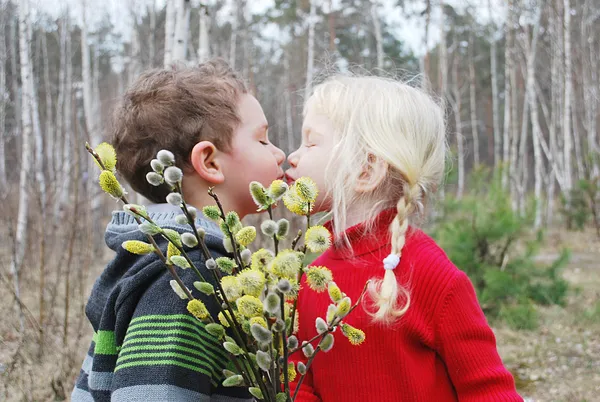 Primavera. Il ragazzo bacia la ragazza . — Foto Stock