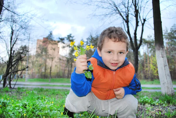 Niño con un pequeño ramo de flores amarillas —  Fotos de Stock