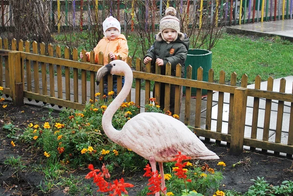 Мальчик девочка и фламинго — стоковое фото