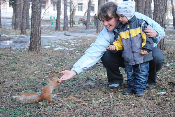 Garçon avec mère nourrit un écureuil — Photo