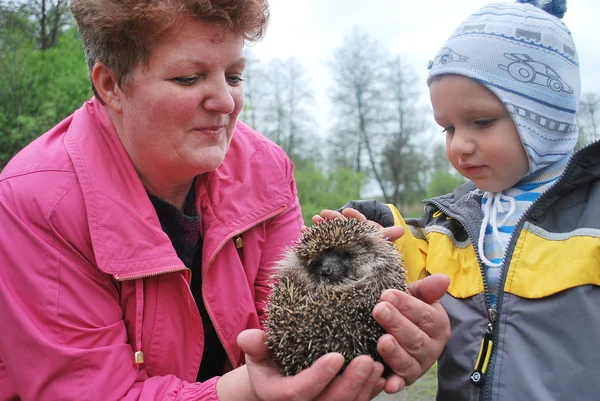 Eine Frau mit einem Jungen, der einen Igel hält — Stockfoto