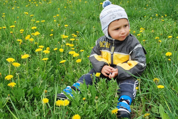 Pojke i maskrosor — Stockfoto