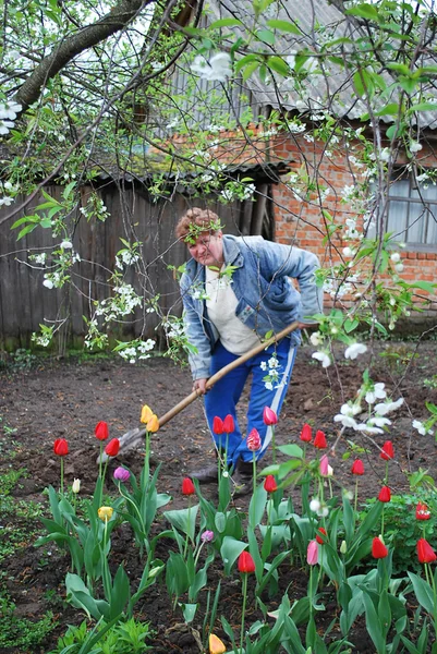 Vrouw geploegd grond — Stockfoto