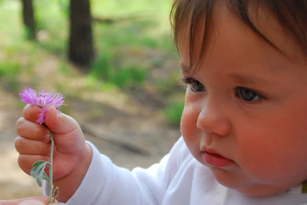 Bir çiçek tutan küçük şirin kız — Stok fotoğraf