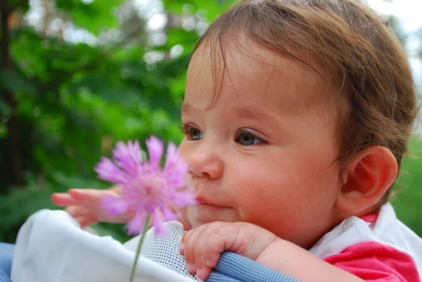 Bir çiçek tutan küçük şirin kız — Stok fotoğraf