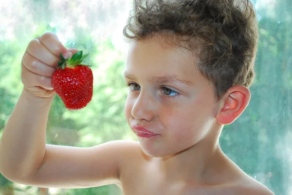 Will probably have to eat you! — Stock Photo, Image