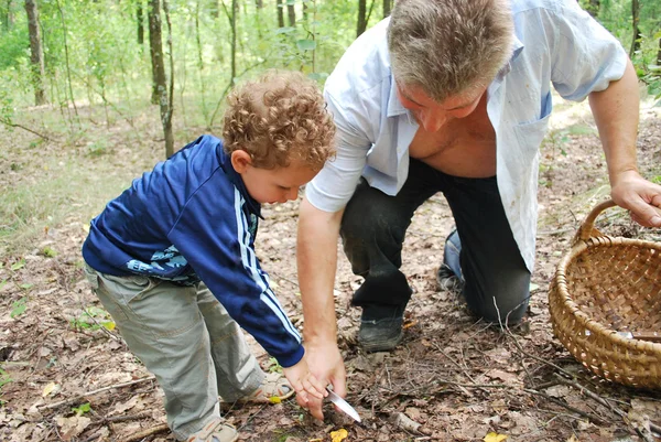 Mushroom pickers. — Stock Photo, Image