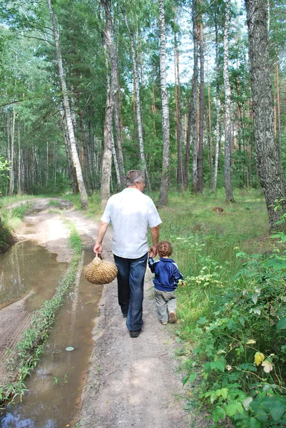 Mushroom pickers. — Stock Photo, Image