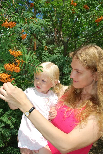 En un bosque cerca de un árbol con una ceniza de montaña, una madre sosteniendo hola — Foto de Stock