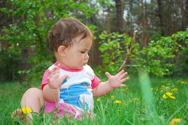 Nel bosco, una bambina siede su un prato di denti di leone . — Foto Stock