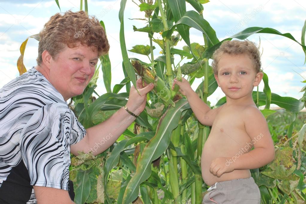 the garden, the grandmother with her grandson collecting corn.