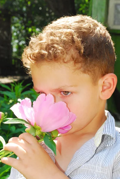 Jongen ruiken een peony. — Stockfoto