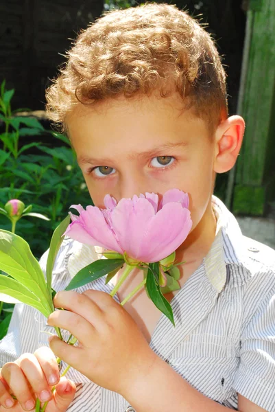 Jongen ruiken een peony. — Stockfoto