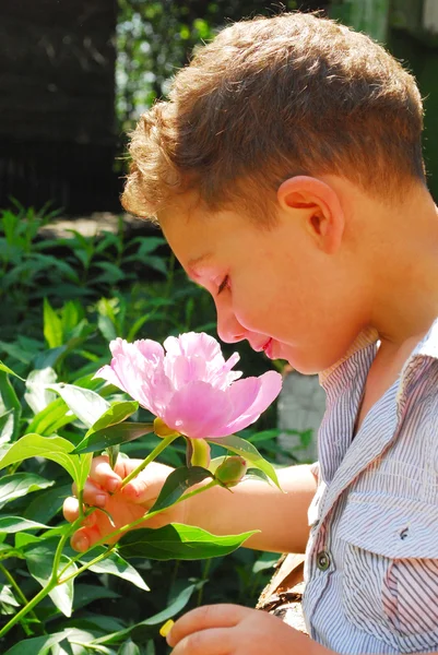 Ragazzo che annusa una peonia . — Foto Stock