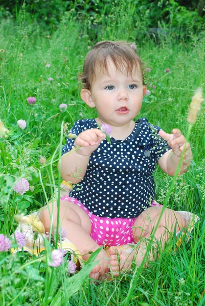 Little girl sits on a lawn of clover. — Stock Photo, Image