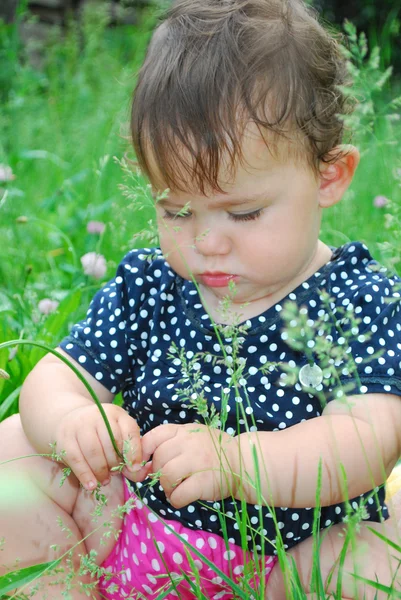 Niña se sienta en un césped de trébol . — Foto de Stock