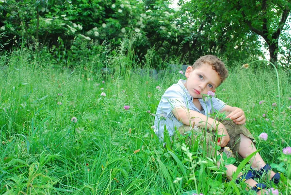 Kleiner Junge sitzt auf einem Rasen aus Klee. — Stockfoto