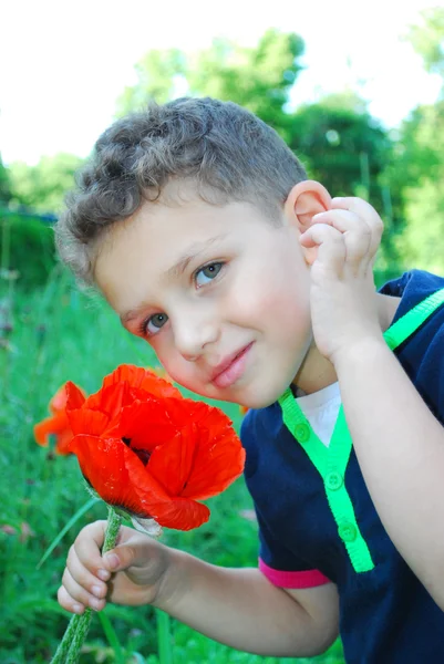 Chlapec stojí poblíž květy máku. — Stock fotografie