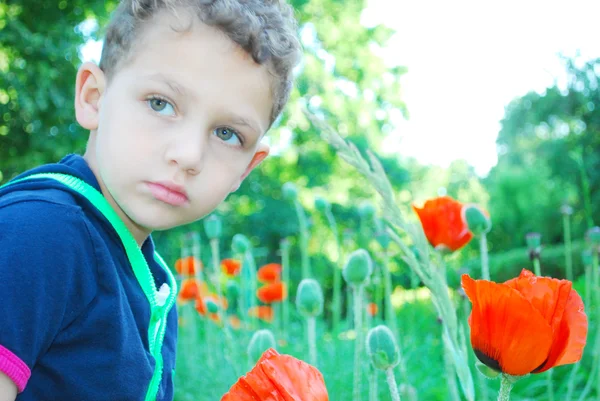 Chłopiec stoi w pobliżu kwiaty maku. — Zdjęcie stockowe