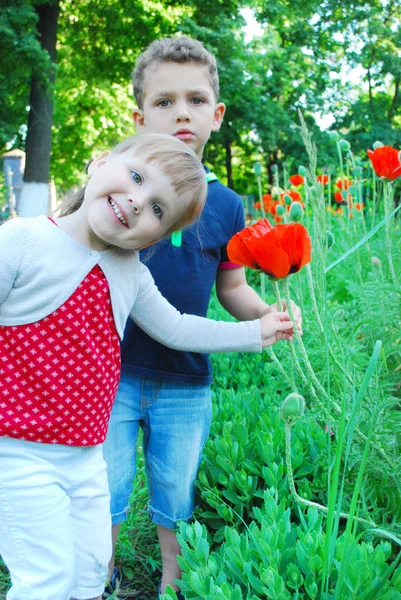 Een jongen en een meisje permanent in de buurt van papavers. — Stockfoto