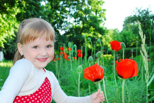 Little, funny girl stands near poppies — Stock Photo, Image
