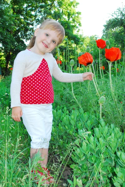 Pequena, menina engraçada fica perto de papoilas — Fotografia de Stock