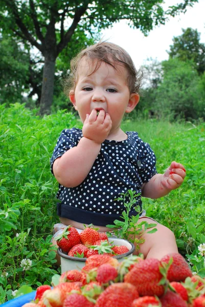 The garden beds near the little girl is sitting, and near it is — Stock Photo, Image