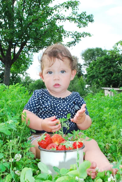 The garden beds near the little girl is sitting, and near it is — Stock Photo, Image