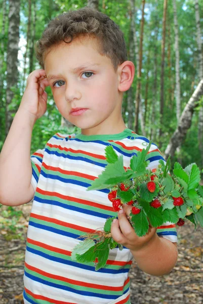 V lese, chlapci, který držel pár jahod. — Stock fotografie