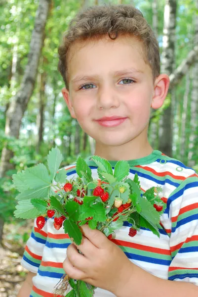 Na floresta, um menino segurando um monte de morangos . — Fotografia de Stock