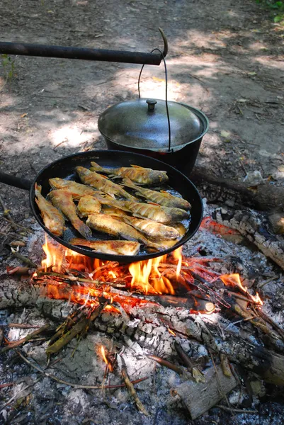 La estaca es pescado frito en una sartén y un poco de olla caliente — Foto de Stock