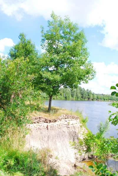 Árbol solitario cerca del acantilado sobre el río — Foto de Stock