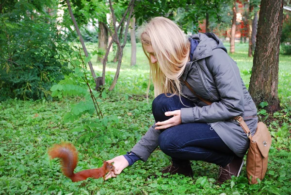 El parque, la chica alimentando a una ardilla roja . — Foto de Stock