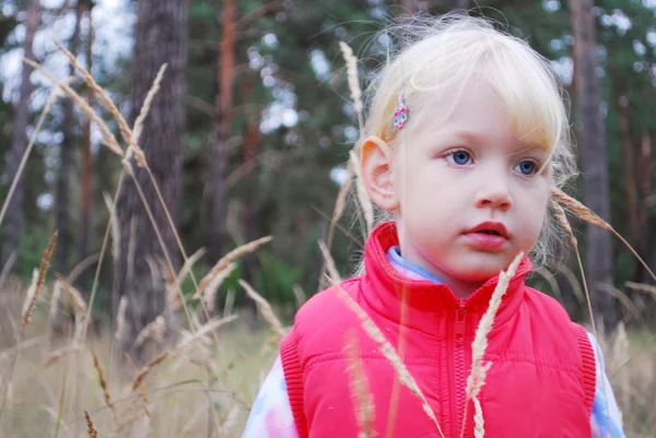 In the forest, in the tall grass is a little girl. — Stock Photo, Image