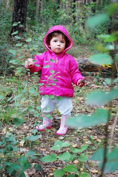 Na floresta, a menina está segurando um boleto de cogumelos . — Fotografia de Stock
