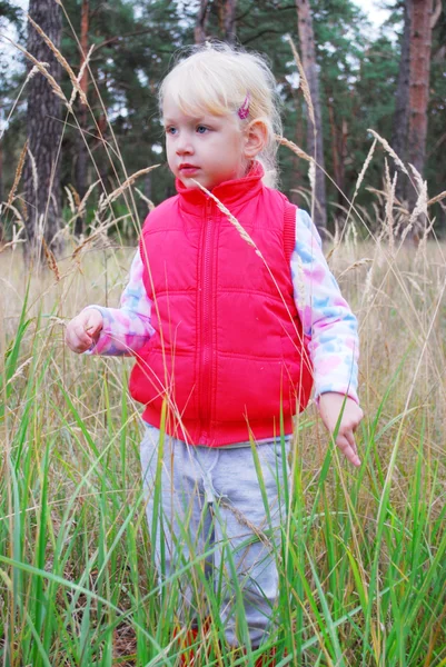 В лесу, в высокой траве маленькая девочка . — стоковое фото