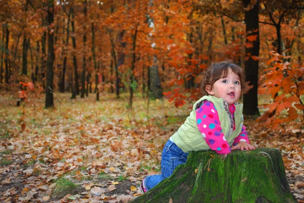 En el bosque niña jugando cerca del muñón . —  Fotos de Stock