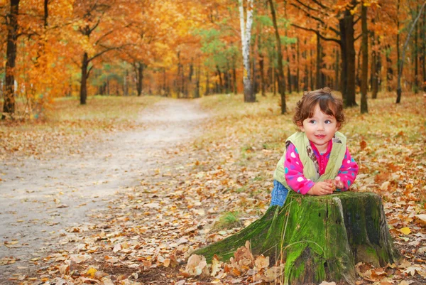 En el bosque niña jugando cerca del muñón . — Foto de Stock