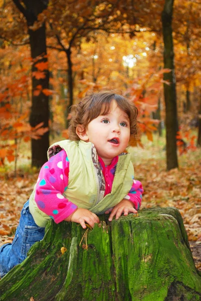 W lesie dziewczynka gra w pobliżu kikut. — Zdjęcie stockowe
