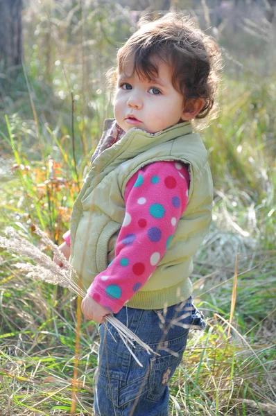 Automne dans la forêt, une petite fille aux cheveux bouclés tenant un pic — Photo