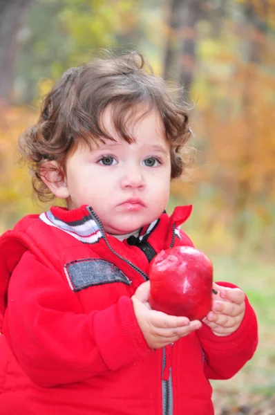 In the forest a little curly-haired girl holding a red apple in — Stock Photo, Image